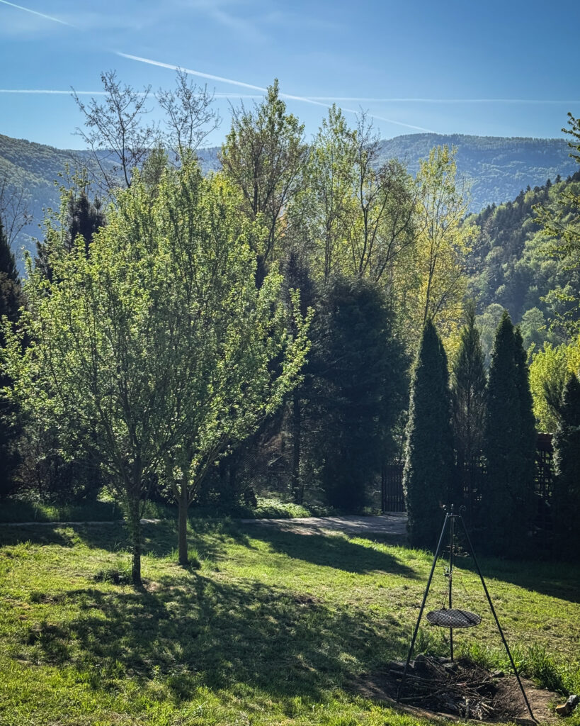 09B26067-A53B-4EF9-970C-8F674BAF7AB4